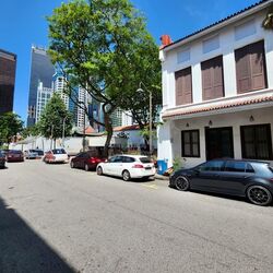 Telok Ayer Street (D1), Shop House #534412391